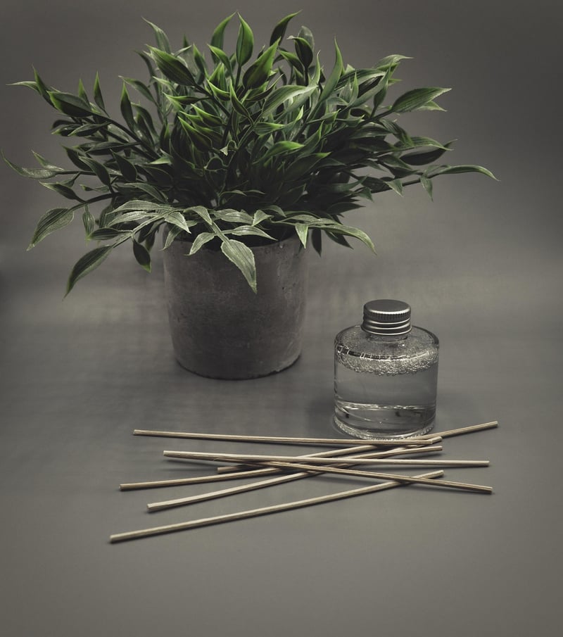 Essential Oil Diffuser